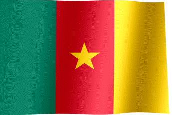 Drapeau Cameroun - Maison des Drapeaux
